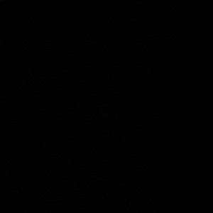 Meet your Posher, Zanyth